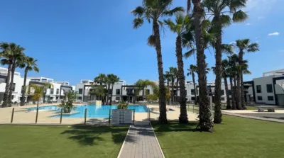 House in Cabo Roig-La Zenia-La Regia photo 35