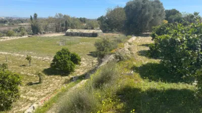 House in Guardamar del Segura photo 38