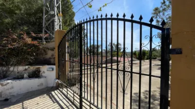 House in Guardamar del Segura photo 6