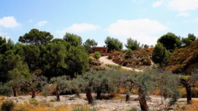 Rustic finca in Gea y Trullols photo 26