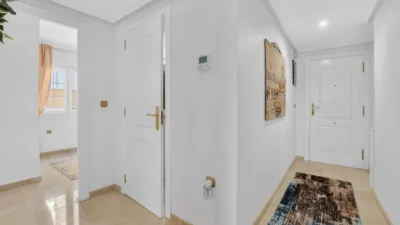 Apartment in Cabo Roig-La Zenia-La Regia photo 20