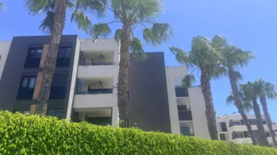 Pis – Orihuela - Vista 2