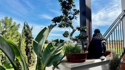 Apartment in Cartagena photo 23