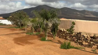 House in Triquivijate photo 4