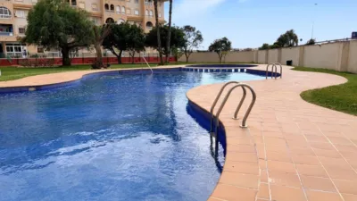Pis – Torrevieja - Vista 2