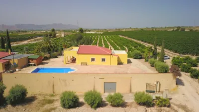 Rustic Finca in Albatera photo 37