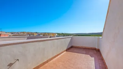 Apartment in Algorfa photo 21