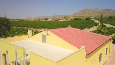 Rustic Finca in Albatera photo 40