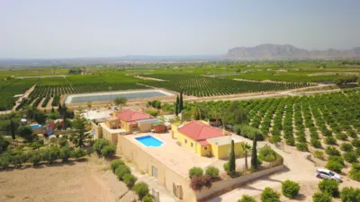 Rustic Finca in Albatera photo 41
