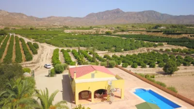 Rustic Finca in Albatera photo 39