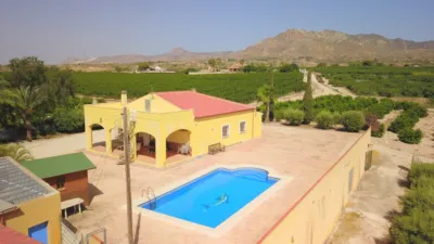 Rustic Finca in Albatera photo 35
