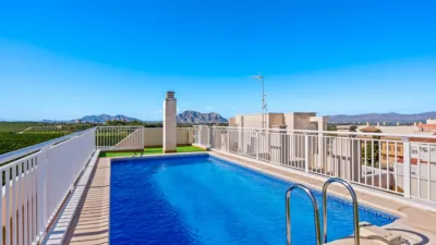 Apartment in Algorfa photo 26