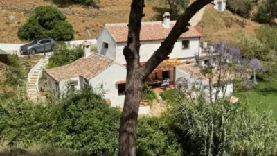 Rustic Finca in Casares photo 9