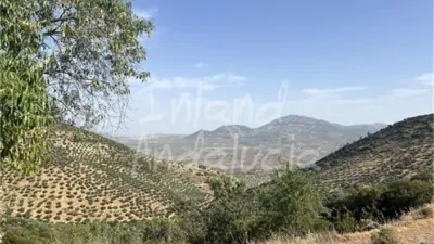 Rustic Finca in Castillo de Locubín photo 11