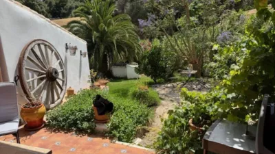 Rustic Finca in Casares photo 15