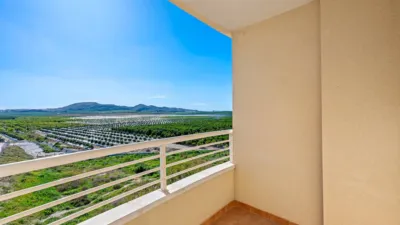 Pis – Algorfa - Vista 2