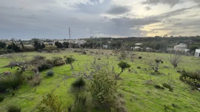 Rustic Finca in Estepona photo 3
