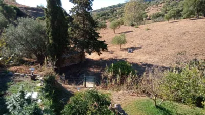 Rustic Finca in Casares photo 6