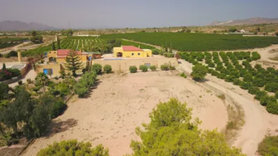 Rustic Finca in Albatera photo 36