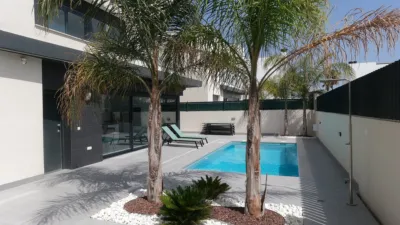 Chalet in Algorfa photo 3