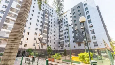 Apartment in La Creu del Grau photo 38