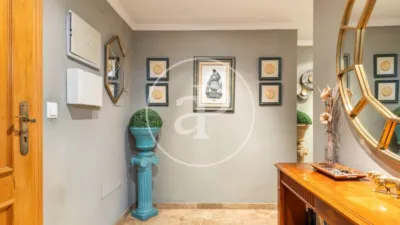 Apartment in La Creu del Grau photo 25