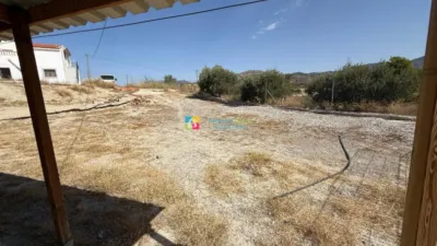 Rustic Finca in Purchena photo 45