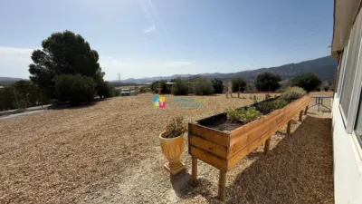 Rustic Finca in Purchena photo 34