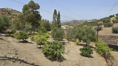 House in Canillas de Aceituno photo 5