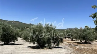 Rustic Finca in Alcalá la Real photo 16