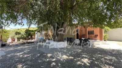 Rustic Finca in Alcalá la Real photo 15