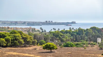 Pis – Orihuela, Urbanización Horizonte - Vista 3