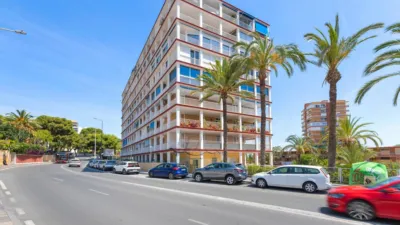Apartment in L'Albufereta photo 29