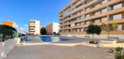 Pis – Torrevieja, Urbanización Punta Prima - Vista 4