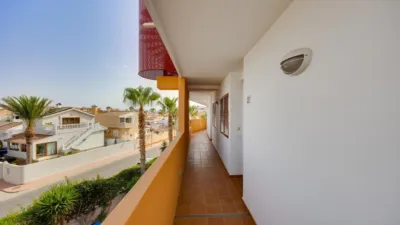 Pis – Orihuela, Alameda del Mar D-1, Urbanización Horizonte - Més
