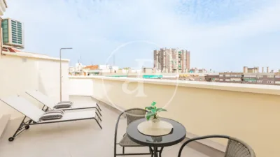 Apartment in Ibiza photo 7