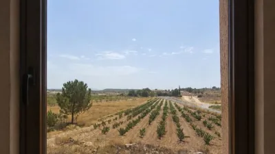 Rustic Finca in El Pinós - Pinoso photo 18