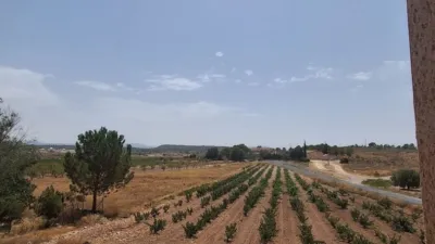 Rustic Finca in El Pinós - Pinoso photo 17