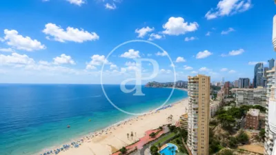 Pis – Benidorm - Vista 2