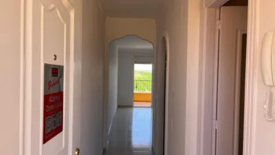 Apartment in Algorfa photo 3