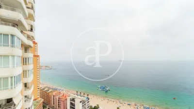 Pis – Benidorm - Vista 5