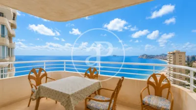 Pis – Benidorm - Vista 4