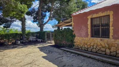 Rustic Finca in El Pinós - Pinoso photo 46