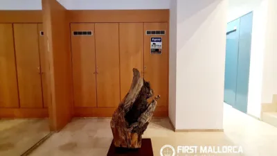 Apartment in Cort photo 15