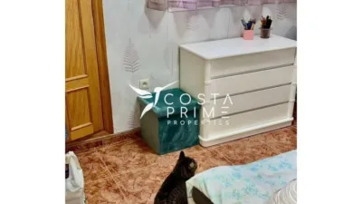 Apartment in Benidorm photo 13