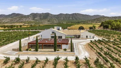 House in Yecla photo 5