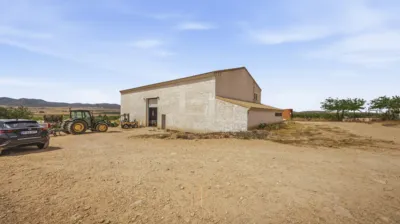 House in Yecla photo 71