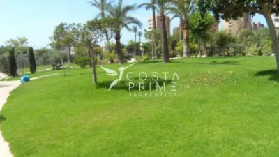 Apartment in Benidorm photo 13