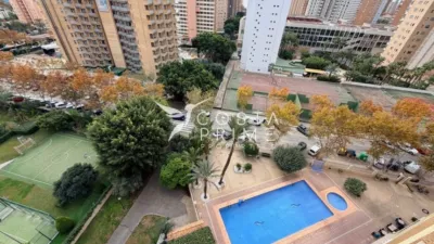 Apartment in Benidorm photo 20