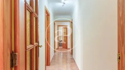 Apartment in La Seu photo 10